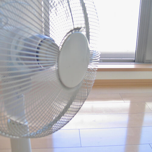 通気の良い日陰に置く