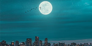 月夜に浮かぶ満月