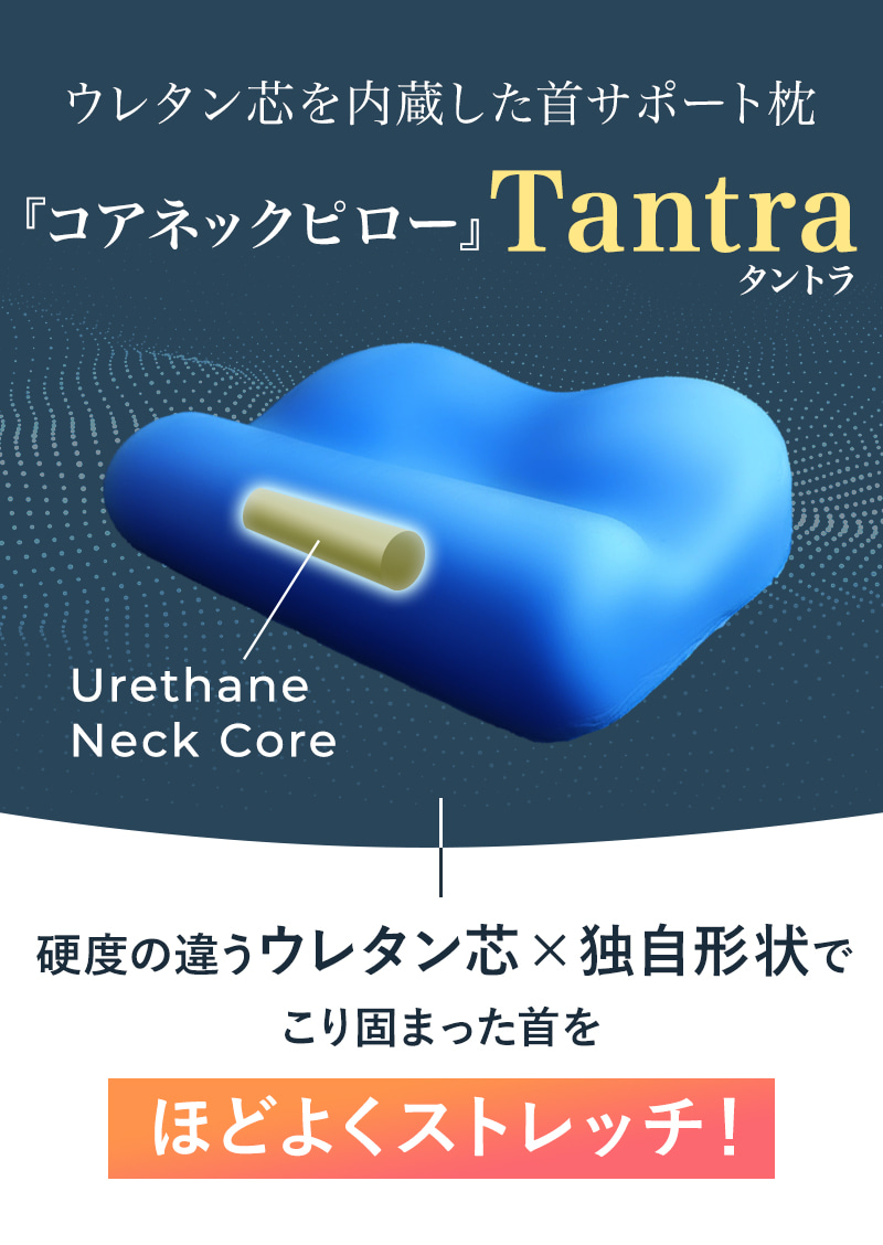 コアネックピロー『タントラ』