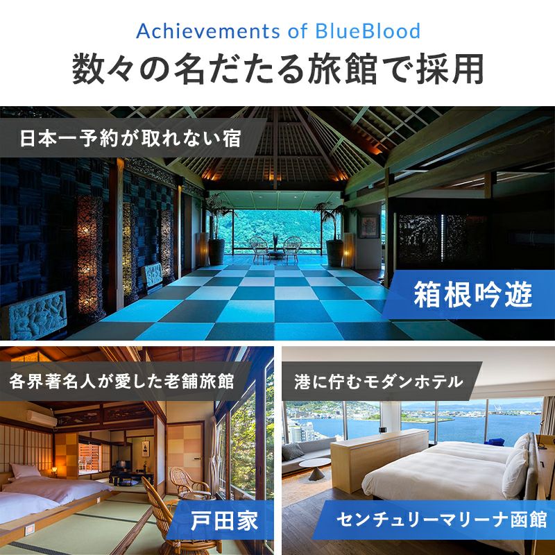 肩こりや首こりに ［ブルーブラッド 3D体感ピローClassic（クラシック