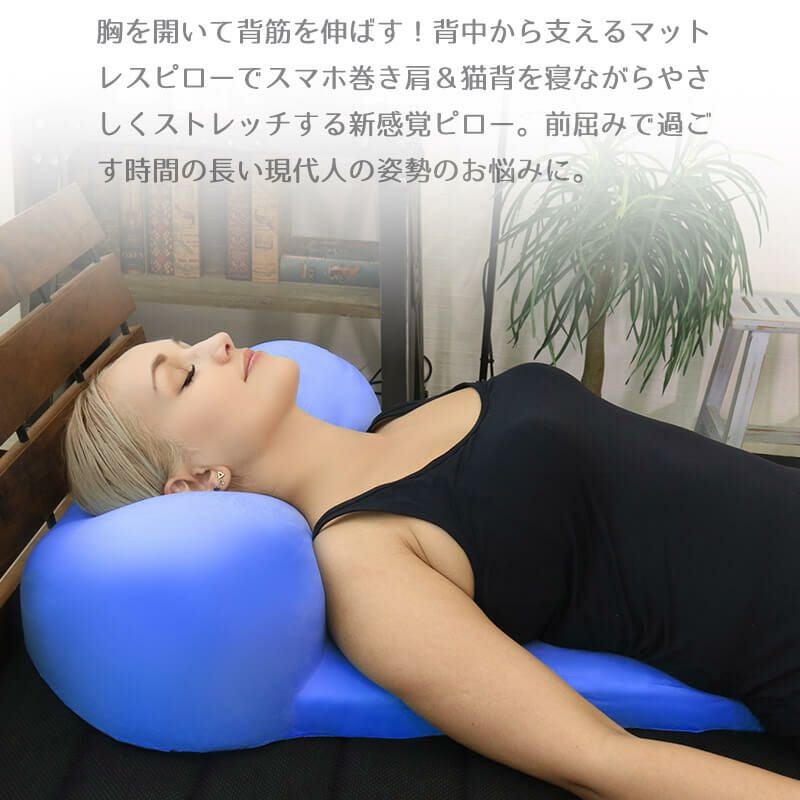 ◆ブルーブラッド　寝ながらストレッチ！　定価49,800円　美品◆ BlueBlood（ブルーブラッド） 動くストレッチマット エアテック