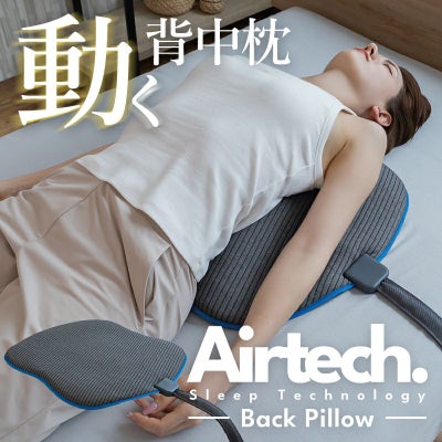 Airtech Back Pillow