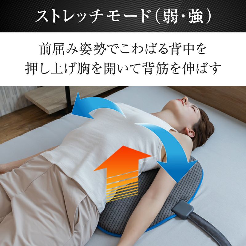 動く背中枕［Airtech Back Pillow（エアテックバックピロー