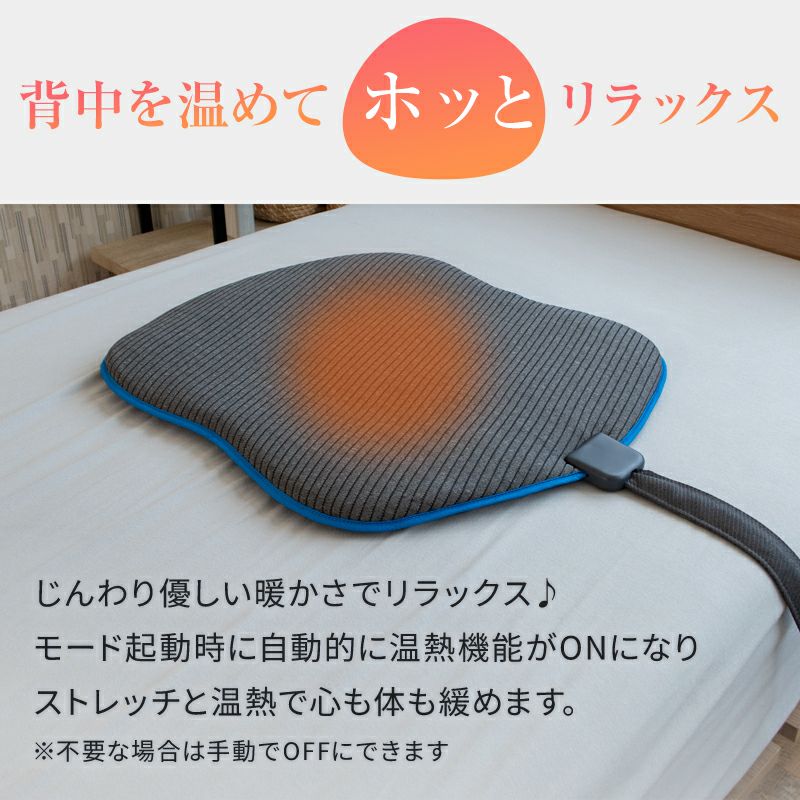 動く背中枕［Airtech Back Pillow（エアテックバックピロー