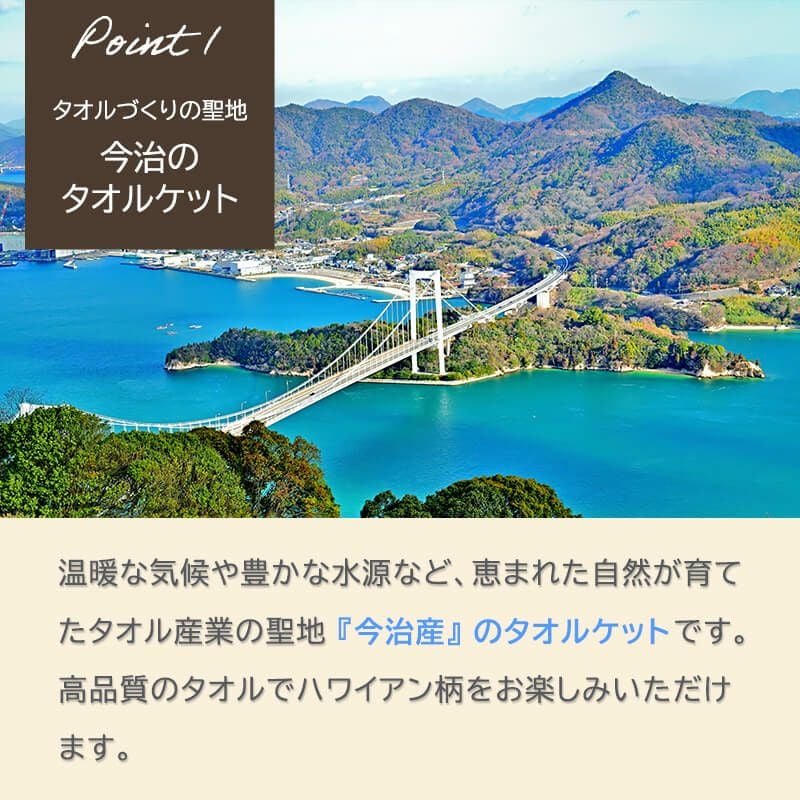 今治産タオルケット