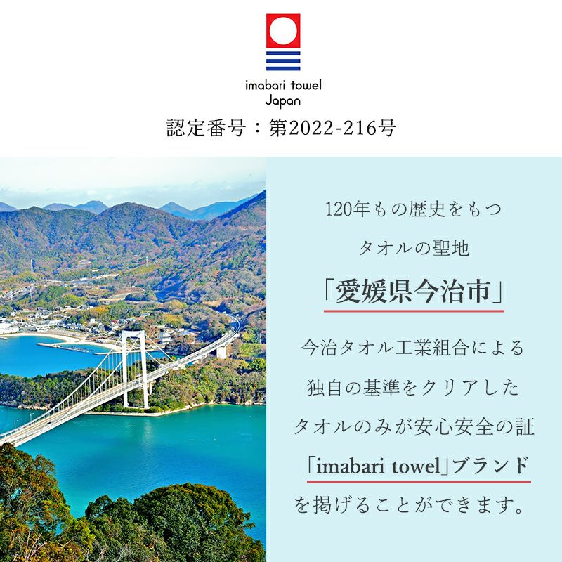 今治タオル両面肌ふとん