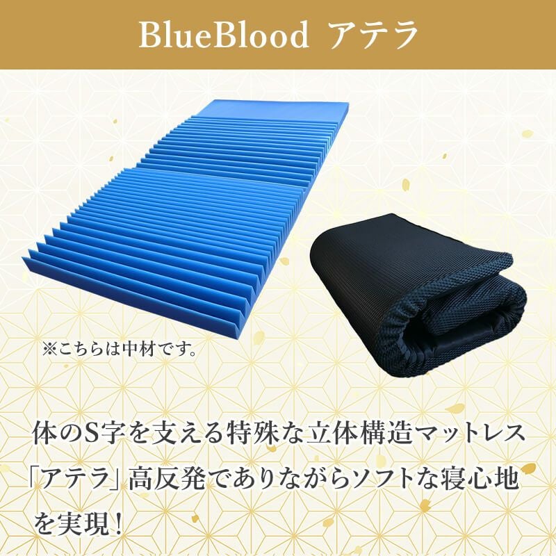 福袋2026 【神選BBセット】