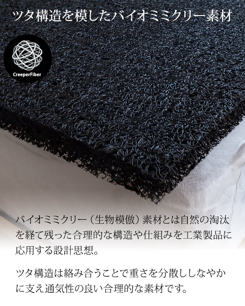 ツタ構造を模したバイオミミクリー素材